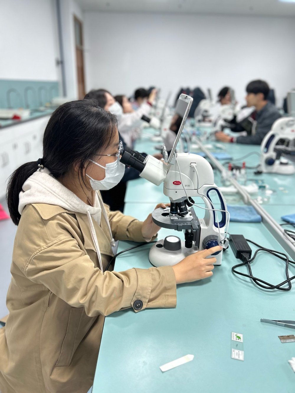 科学实验